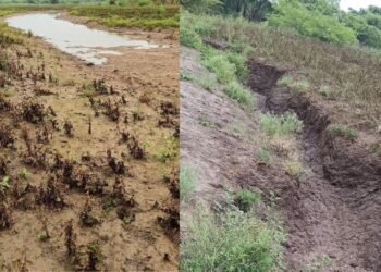 विभागीय आयुक्त पापळकर यांचे जिल्हा प्रशासनाला निर्देश