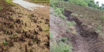 विभागीय आयुक्त पापळकर यांचे जिल्हा प्रशासनाला निर्देश
