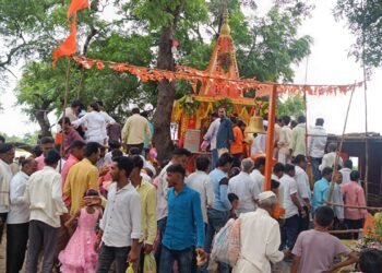 श्री विठोजी बिरोजींच्या दर्शनासाठी गर्दी