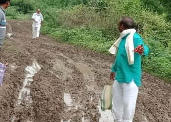 वाघाळा–फुलारवाडी रस्त्याची दैना संपेना