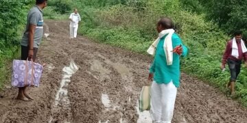 वाघाळा–फुलारवाडी रस्त्याची दैना संपेना
