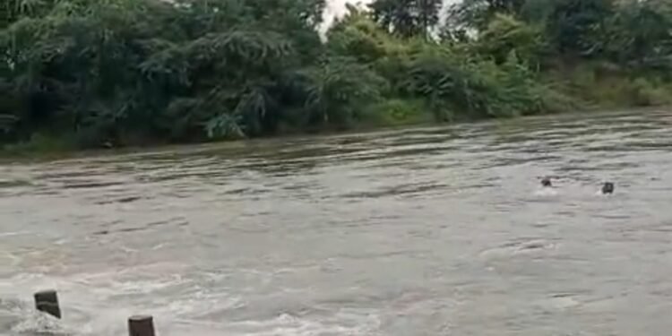 दुधना नदीत दोन जण वाहून गेले
