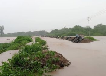 मुसळधार पावसाने पिकांचे मोठे नुकसान