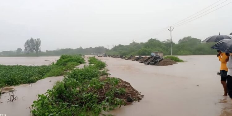 मुसळधार पावसाने पिकांचे मोठे नुकसान