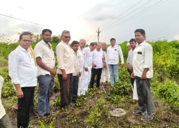 शेतकऱ्यांच्या नुकसानीची सभापतींकडून पाहणी