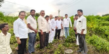 शेतकऱ्यांच्या नुकसानीची सभापतींकडून पाहणी