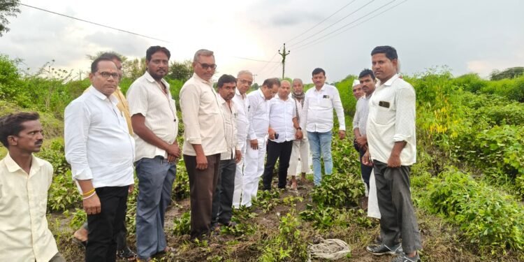शेतकऱ्यांच्या नुकसानीची सभापतींकडून पाहणी
