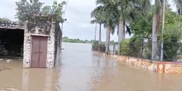 गोदावरीची पाणीपातळी वाढली