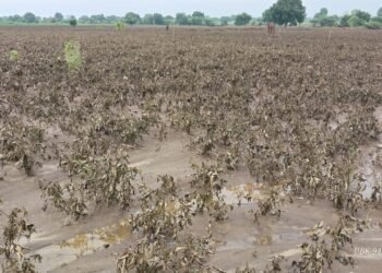 पूरग्रस्तांसाठी तातडीने अधिवेशन बोलवा