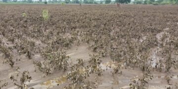 पूरग्रस्तांसाठी तातडीने अधिवेशन बोलवा