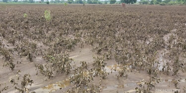 पूरग्रस्तांसाठी तातडीने अधिवेशन बोलवा