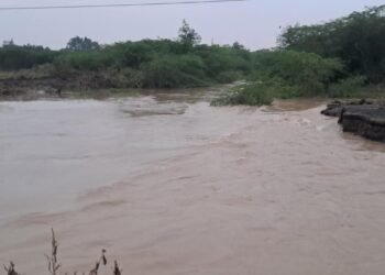 परभणीला परतीच्या पावसाने झोडपले