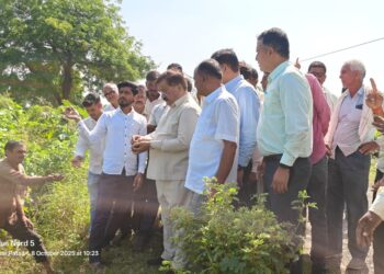 अतिवृष्टीग्रस्त शेतकऱ्यांशी कुलगुरूंचा थेट संवाद