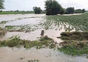 विजयादशमीवर दुष्काळाचे सावट