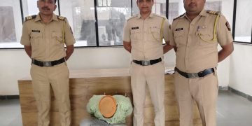 २४ तासांत चोरीचा छडा, आरोपी जेरबंद