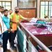 फळे पिकवण्यासाठी घातक रसायनांचा सर्रास वापर