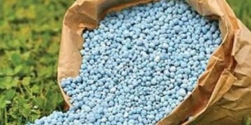 सेलूत खत विक्री केंद्रांवर विशेष पथके; तीन केंद्रांना नोटिसा