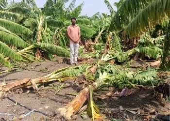 वादळी वाऱ्याने स्वप्नांचा केला चुराडा