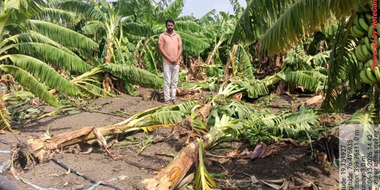 वादळी वाऱ्याने स्वप्नांचा केला चुराडा
