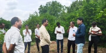 समृद्धी महामार्ग : २४ एकर शेतीचे दोन तुकडे