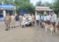 आंतरजिल्हा जनावर चोरी करणाऱ्या टोळीचा पर्दाफाश