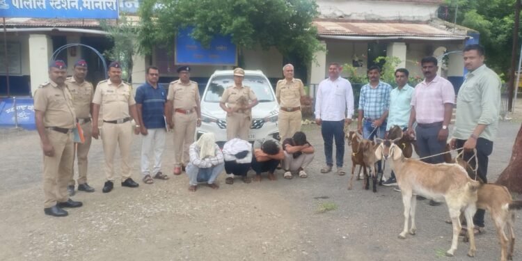 आंतरजिल्हा जनावर चोरी करणाऱ्या टोळीचा पर्दाफाश