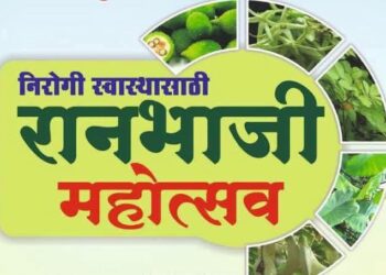 वाशिममध्ये आज रंगणार रानभाजी महोत्सव
