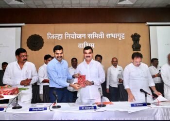 नियोजित विकासकामे वेळेत पूर्ण करा : पालकमंत्री दत्तात्रय भरणे