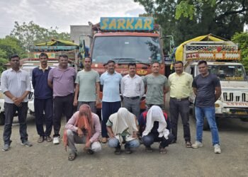 अवैध गोवंश वाहतुकीवर वाशिम पोलिसांचा दणका; ३ वाहनांसह २३ गोवंश जप्त