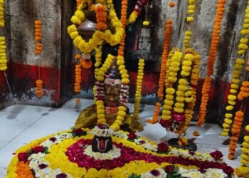 हातनूर येथील श्री नागनाथ मंदिरात आकर्षक फूलसजावट