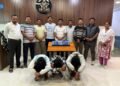 पिस्टलसह पाच काडतुसे हस्तगत