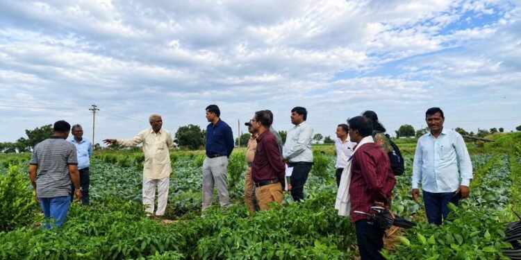 हवामान अनुकूल शेतीसह मूल्यवर्धनाला गती देण्याचे प्रशासनाचे प्रयत्न