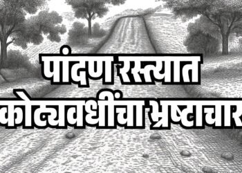एकाच रस्त्यावर दोन ग्रामपंचायतींनी उचलले अनुदान !